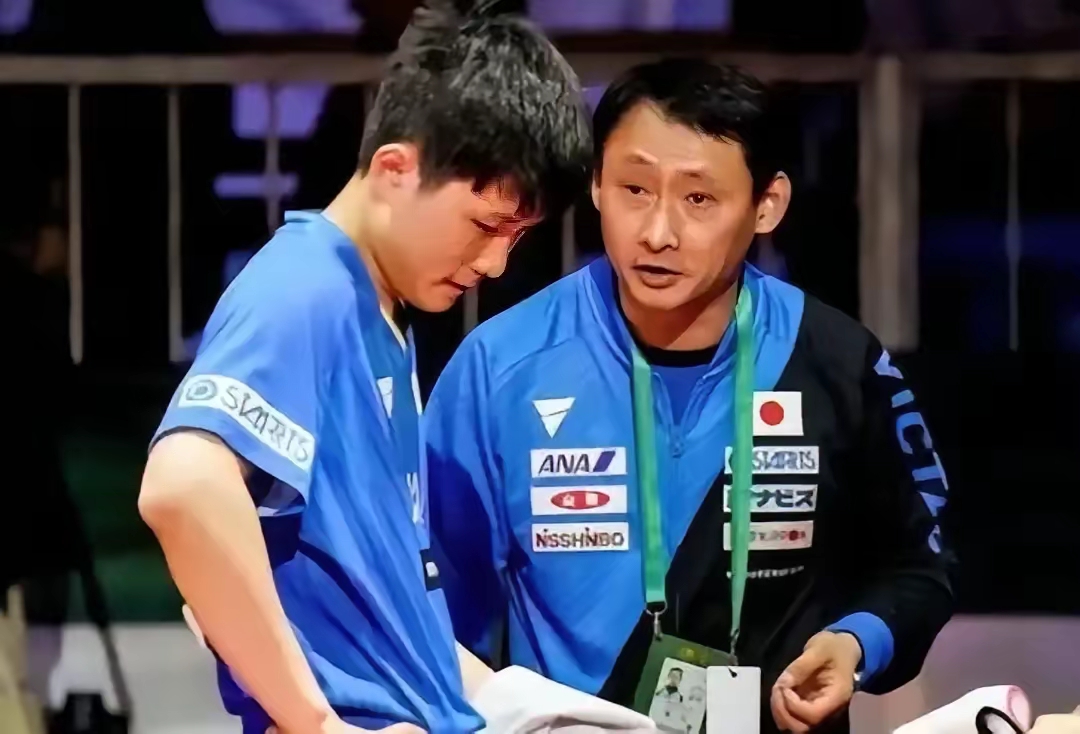 瑞典队碾压波兰队，张本智和状态火热