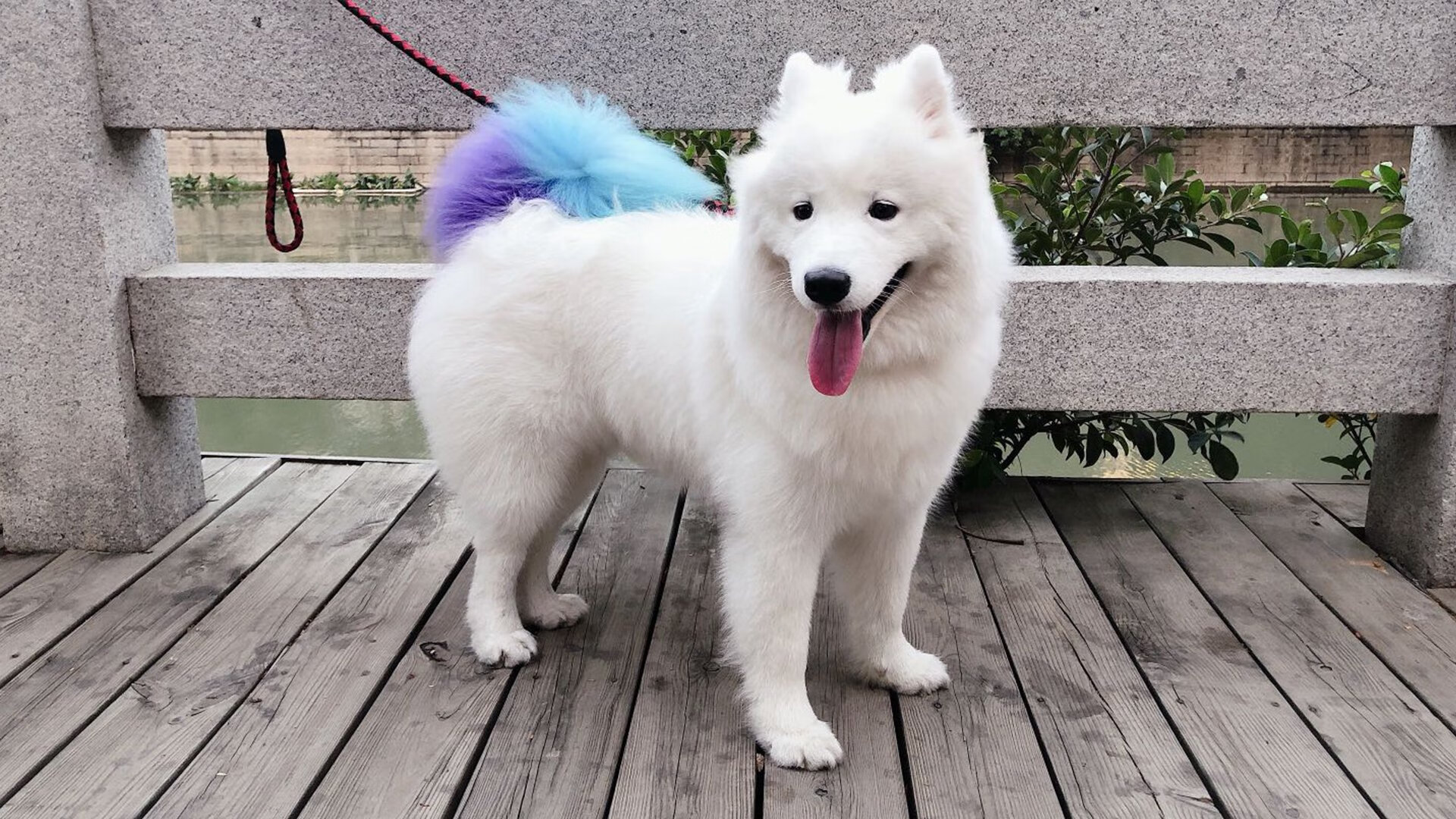 维尼修斯单骑破局，厄瓜多尔一节定乾坤