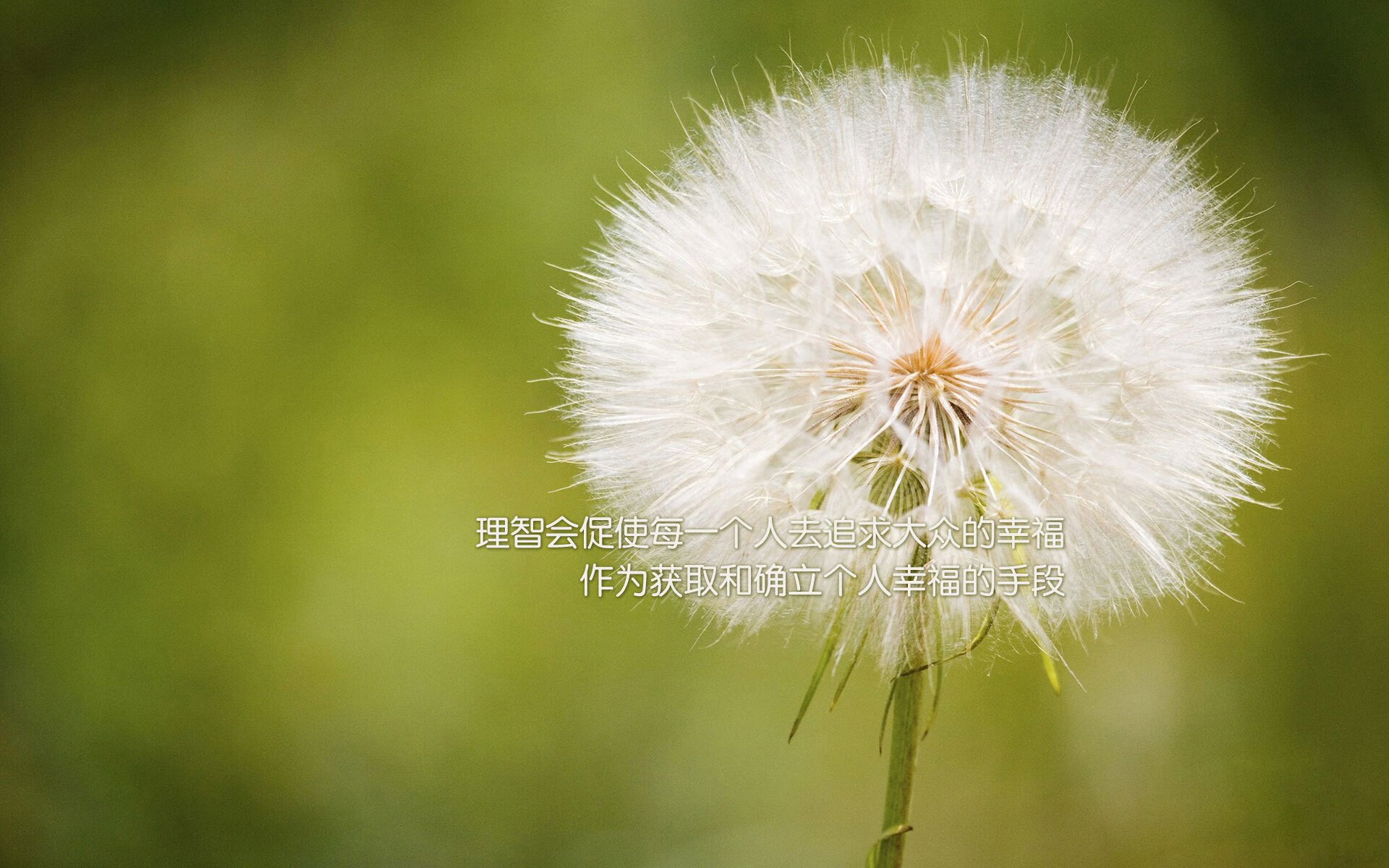 米切尔跨队统治，当骑士王牌在湖人猛龙之战中定义比赛