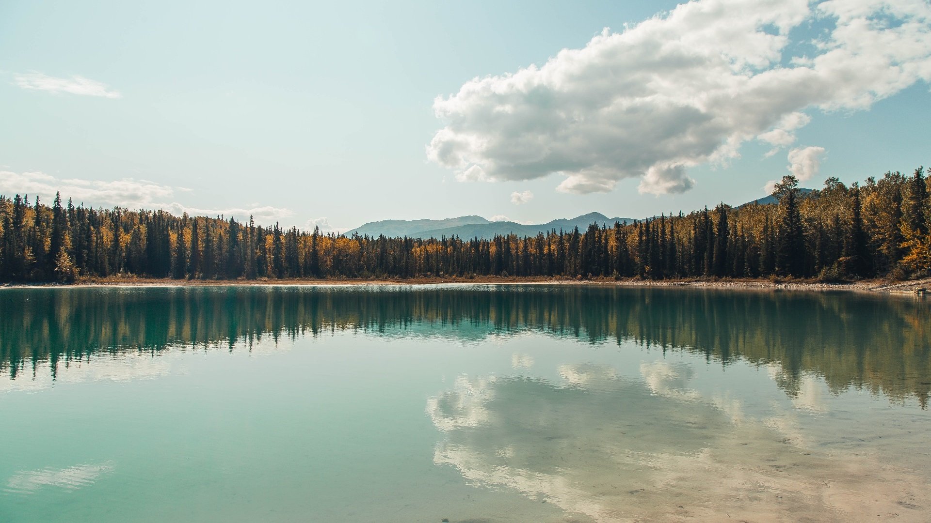吉林队带走独行侠，约基奇成为关键先生，一场跨越篮球次元的对话