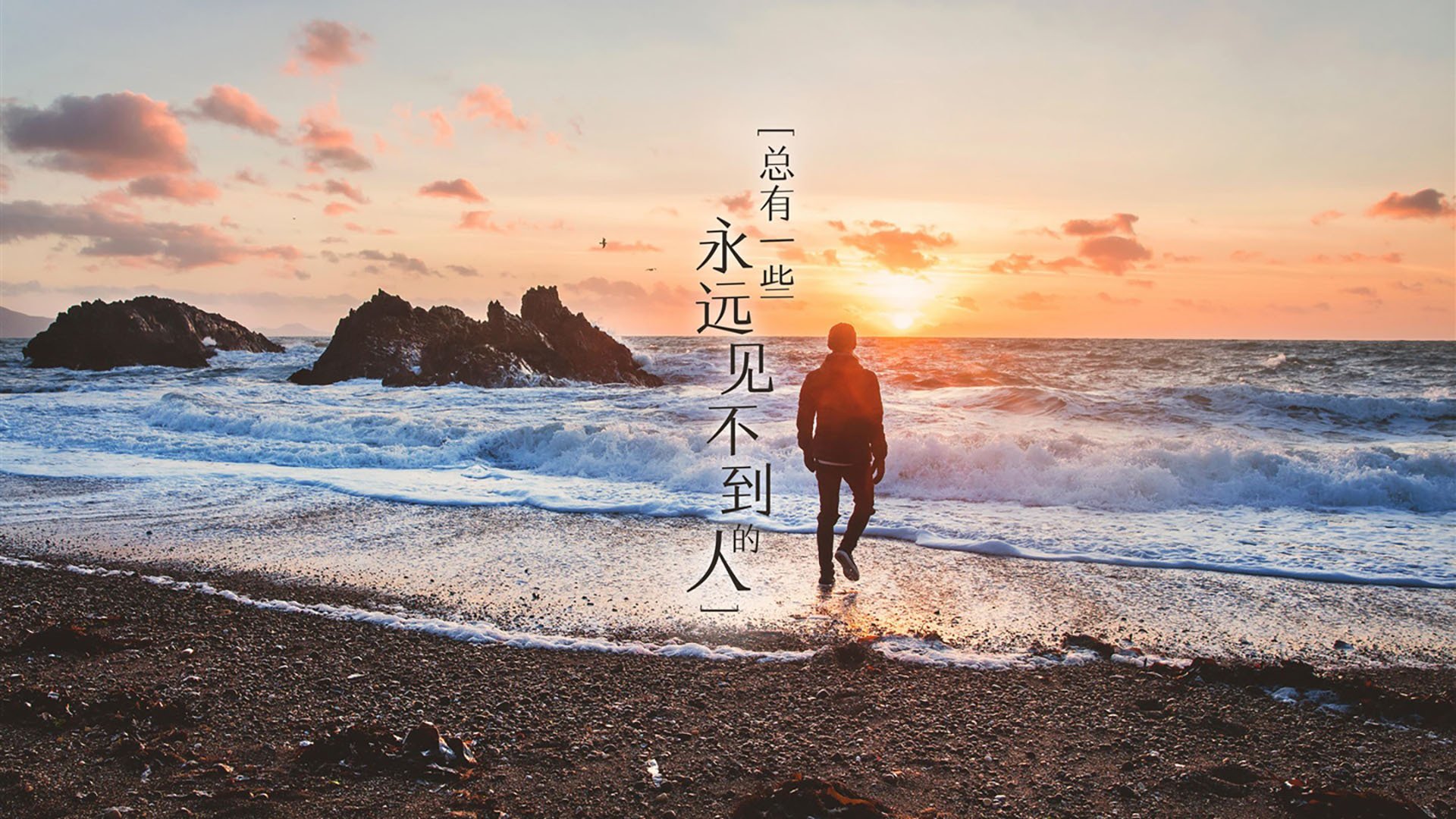 德甲争冠战焦点战，美国硬仗取胜喀麦隆的战术启示