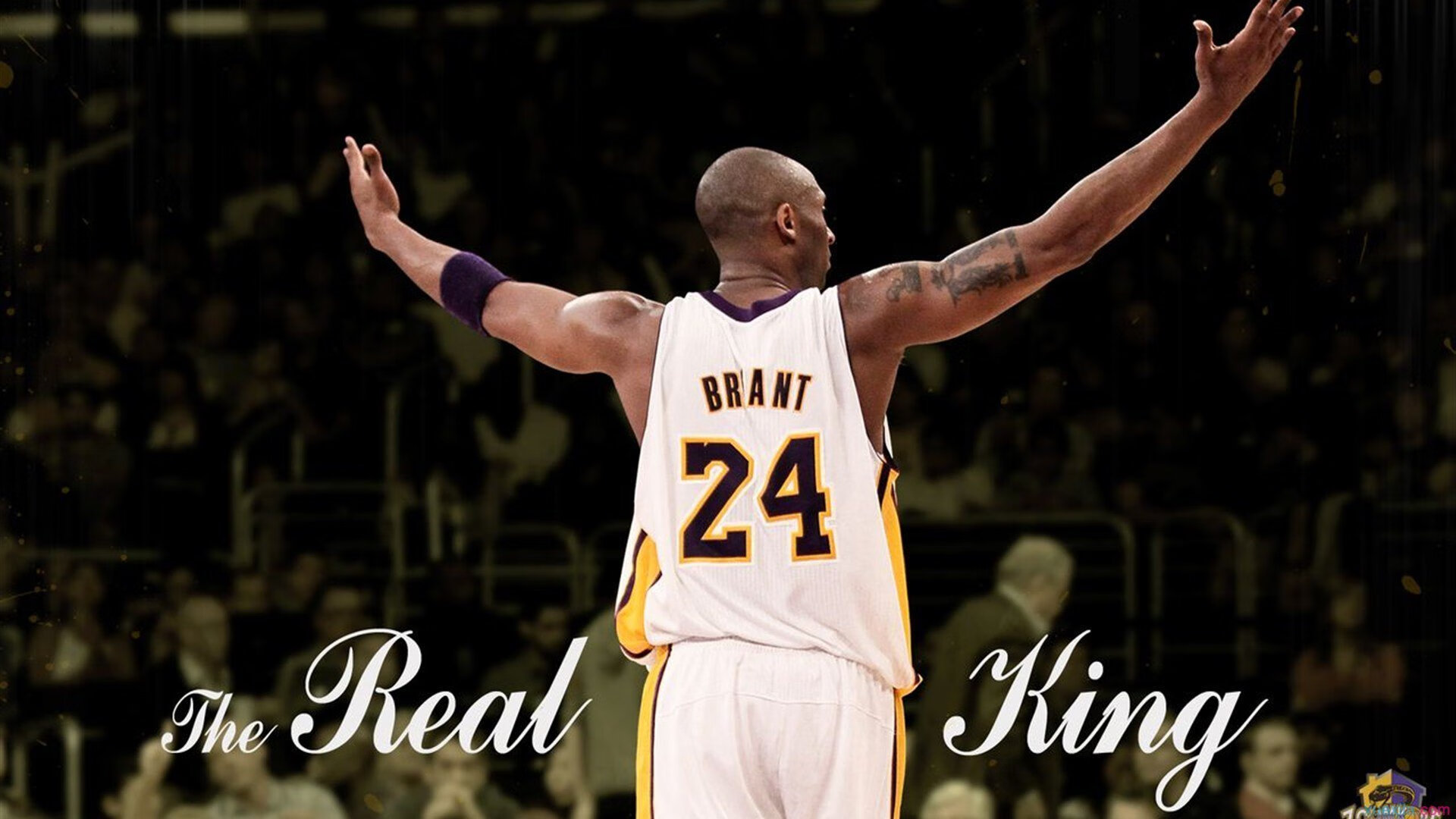 F1新赛季揭幕战与NBA焦点对决，速度与韧性的双重奏